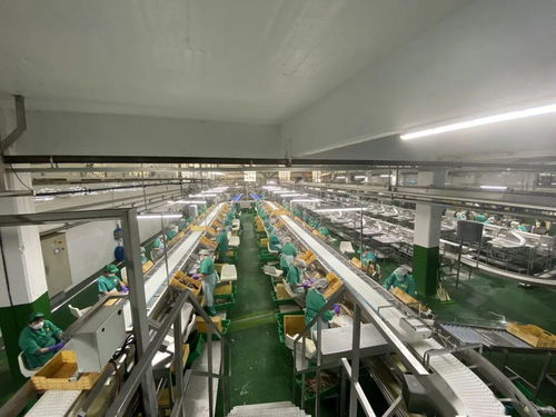 同心戰(zhàn)“疫” 光明食品集團(tuán)海外疫情防控與穩(wěn)產(chǎn)保供的實(shí)踐與啟示